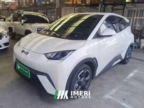 2024 BYD Seagull Glory Edition 305km Freedom Version - ავტომობილი ჩინეთიდან