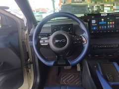 BYD Seagull Glory Edition 305km Freedom Version - ფოტო 11