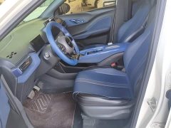 BYD Seagull Glory Edition 305km Freedom Version - ფოტო 15