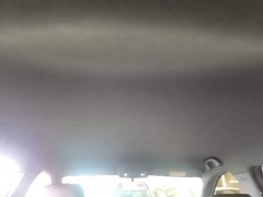 BYD Seagull Glory Edition 305km Freedom Version - ფოტო 18