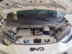 BYD Seagull Glory Edition 305km Freedom Version - ფოტო 20