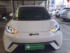 BYD Seagull Glory Edition 305km Freedom Version - ფოტო 3