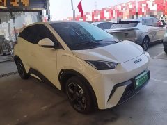 BYD Seagull Glory Edition 305km Freedom Version - ფოტო 4