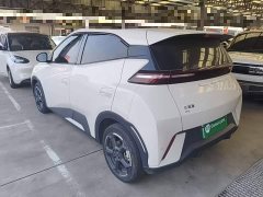 BYD Seagull Glory Edition 305km Freedom Version - ფოტო 5