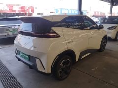 BYD Seagull Glory Edition 305km Freedom Version - ფოტო 7