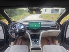 BYD Song Pro New Energy DM-i 51km Premium Edition - ფოტო 13