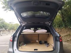 BYD Song Pro New Energy DM-i 51km Premium Edition - ფოტო 9