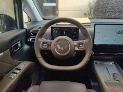 Wuling Starlight 730 New Energy PHEV 125km Luxury - ფოტო 11