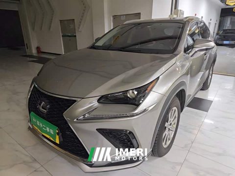 2021 Lexus NX 2020 200 AWD Sharp Luxury Edition National VI - ავტომობილი ჩინეთიდან