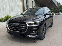 Haval H6 National Trend Edition 1.5T Automatic Urban Version - ფოტო 1