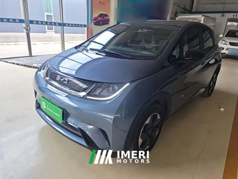 2026 BYD Dolphin 2025 420km Freedom Edition - ავტომობილი ჩინეთიდან