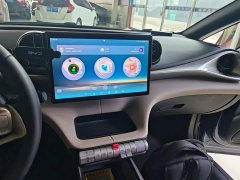 BYD Dolphin 2025 420km Freedom Edition - ფოტო 13