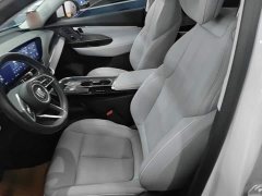 Buick E5 Premium Standard Range Edition - ფოტო 15