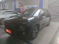 Jetour Jietu Dasheng 1.5T DCT Starlight PRO - ფოტო 1