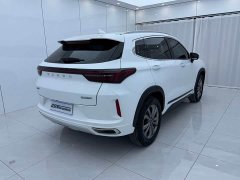 Changan Chitu Zhuifeng 2022 Riding the Wind and Waves Edition 1.5T CVT Good Fortune Peanut Edition - ფოტო 4