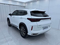 Changan Chitu Zhuifeng 2022 Riding the Wind and Waves Edition 1.5T CVT Good Fortune Peanut Edition - ფოტო 6