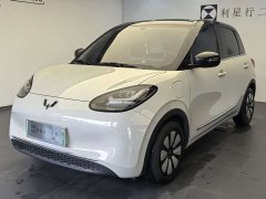 Wuling Binguo 333km Joy Edition - ფოტო 1