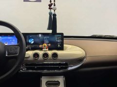 Wuling Binguo 333km Joy Edition - ფოტო 16