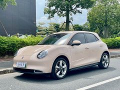 ORA Good Cat 2023 401km Standard Range Luxury LFP - ფოტო 1