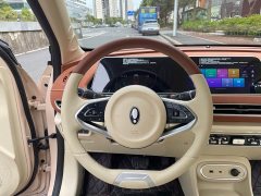 ORA Good Cat 2023 401km Standard Range Luxury LFP - ფოტო 13