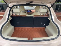 ORA Good Cat 2023 401km Standard Range Luxury LFP - ფოტო 18
