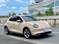 ORA Good Cat 2023 401km Standard Range Luxury LFP - ფოტო 3