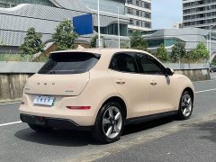 ORA Good Cat 2023 401km Standard Range Luxury LFP - ფოტო 5