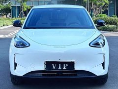 Geely Xing Yuan 2025 310km Youth Edition - ფოტო 2