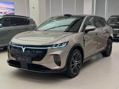 Voyah Lantu Zhiyin Rear-Wheel Drive Qiankun Edition - ფოტო 1