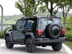 Tank 300 2.0T Challenger - ფოტო 11