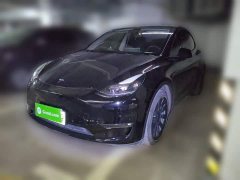 Tesla Model Y Standard Range RWD - ფოტო 1