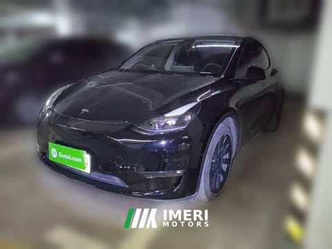2021 Tesla Model Y Standard Range RWD - ავტომობილი ჩინეთიდან