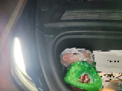 Tesla Model Y Standard Range RWD - ფოტო 20