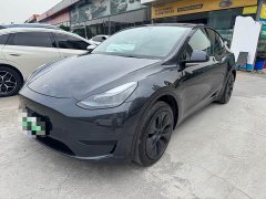 Tesla Model Y 2024 Rear-Wheel Drive - ფოტო 1