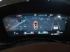 BYD Han DM-i 121KM Respect Edition - ფოტო 15