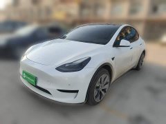 Tesla Model Y 2022 Rear-Wheel Drive - ფოტო 1