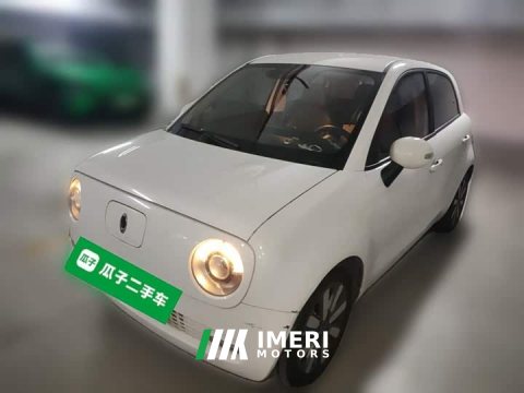 2021 ORA Black Cat 351km Standard - ავტომობილი ჩინეთიდან
