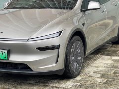 Tesla Model Y L 2025 Long Range All-Wheel Drive - ფოტო 14