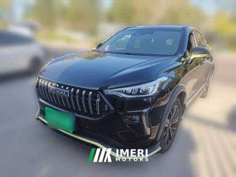 2022 Haval Chitu 2021 Turbo Engine Edition 1.5T Platinum - ავტომობილი ჩინეთიდან