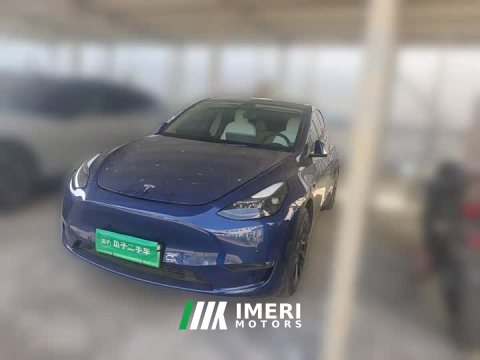 2021 Tesla Model Y Standard Range RWD - ავტომობილი ჩინეთიდან