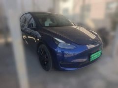 Tesla Model Y Standard Range RWD - ფოტო 3