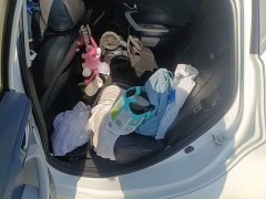 Changan Benben E-Star Pure Heart Edition Multicolor LFP - ფოტო 18