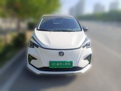 Changan Benben E-Star Pure Heart Edition Multicolor LFP - ფოტო 2
