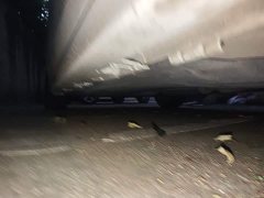 Honda Civic 2023 240TURBO CVT Sport Edition - ფოტო 17