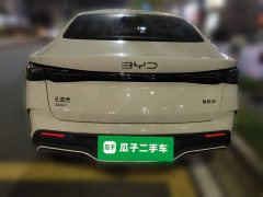 BYD Seal 06 DM-i 120KM Honor Edition - ფოტო 3