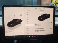 Tesla Model 3 Performance All-Wheel Drive - ფოტო 13