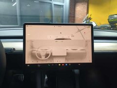 Tesla Model 3 Performance All-Wheel Drive - ფოტო 14