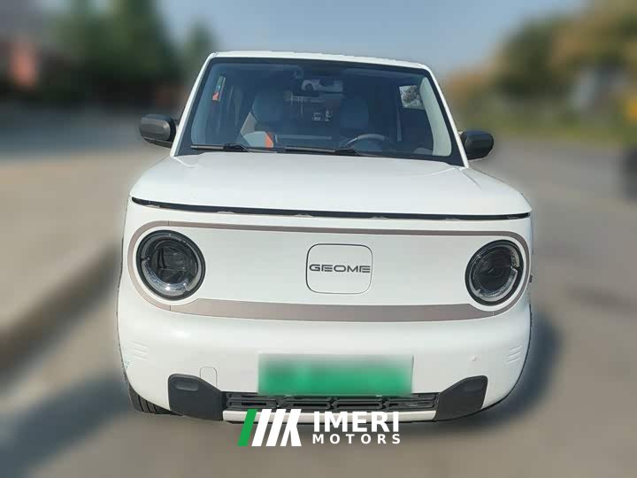 Geely Panda Mini 200km Endurance Edition - ავტომობილი ჩინეთიდან