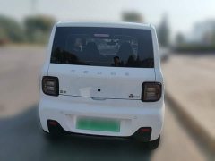 Geely Panda Mini 200km Endurance Edition - ფოტო 2