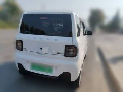 Geely Panda Mini 200km Endurance Edition - ფოტო 3